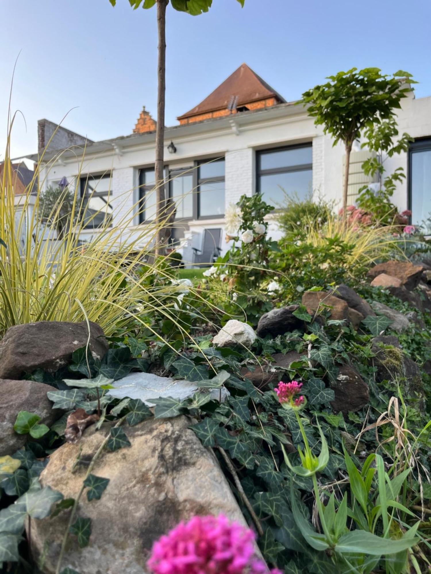 Le Petit Paradis Cassel Esterno foto