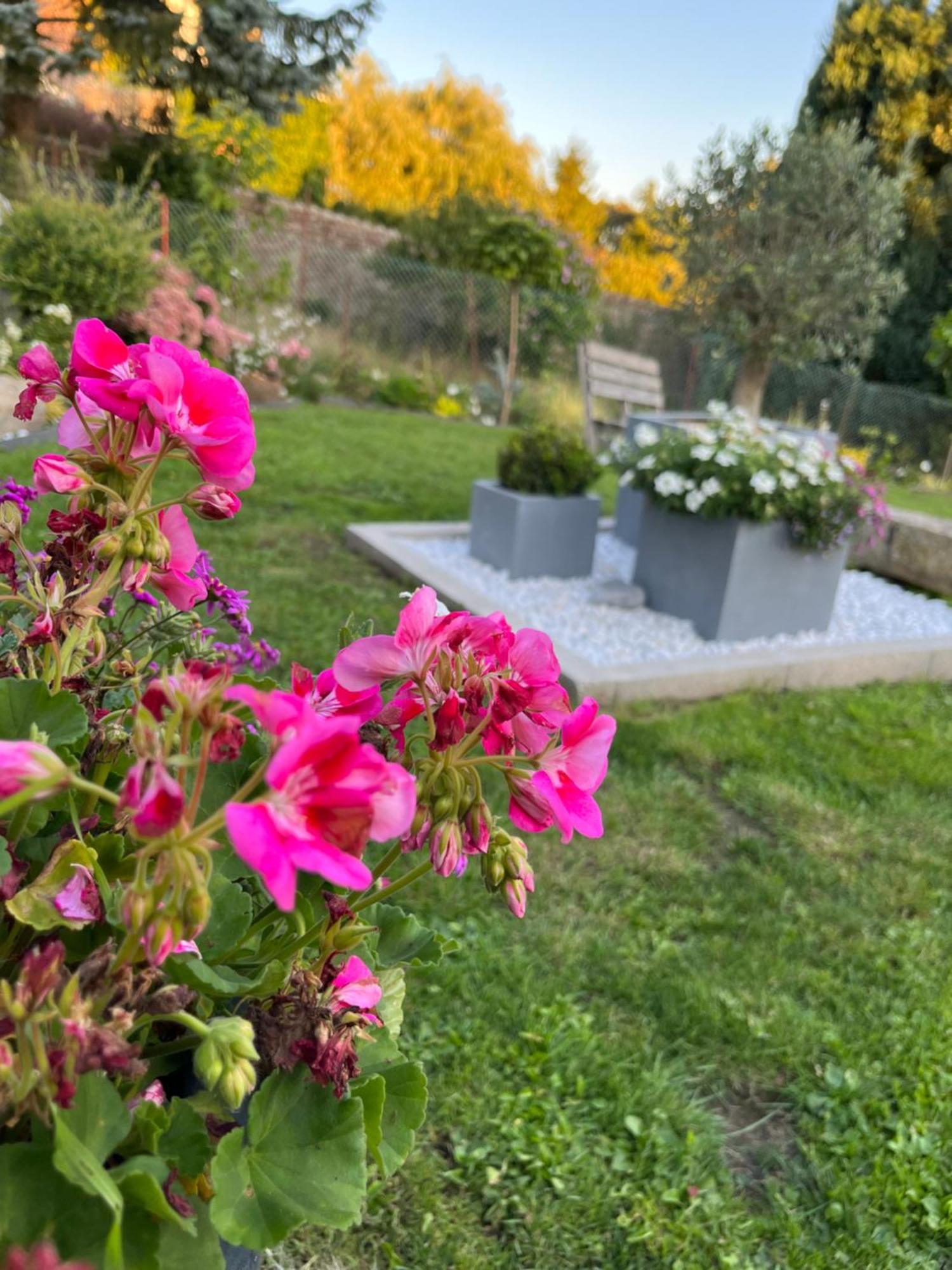 Le Petit Paradis Cassel Esterno foto