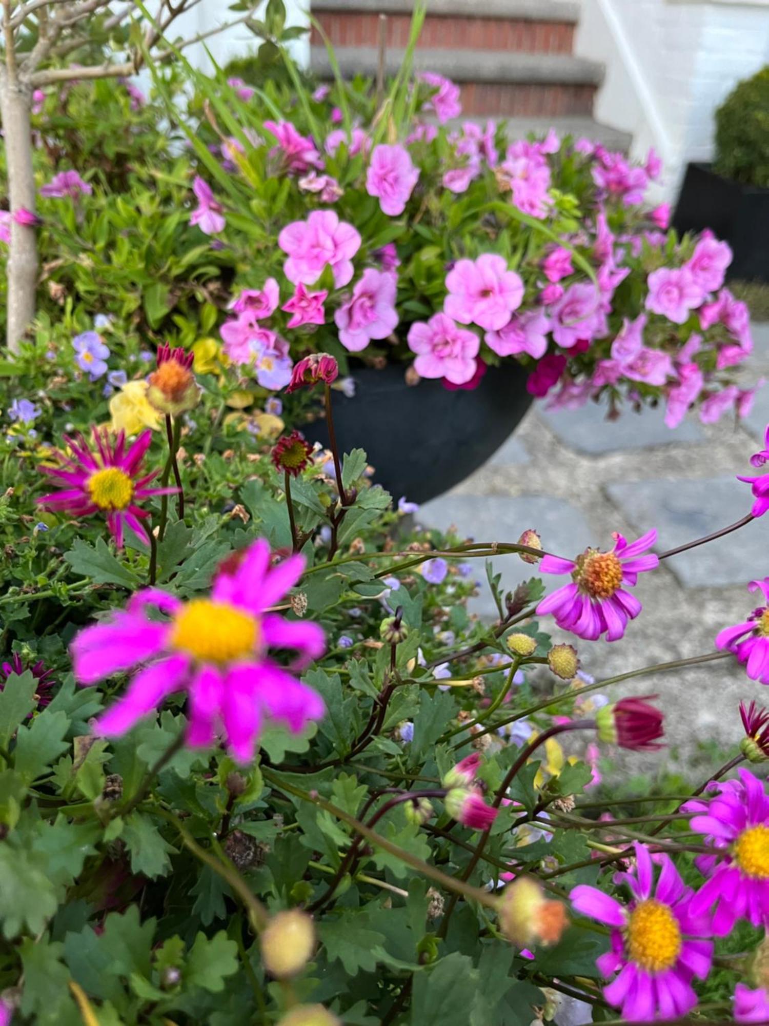 Le Petit Paradis Cassel Esterno foto