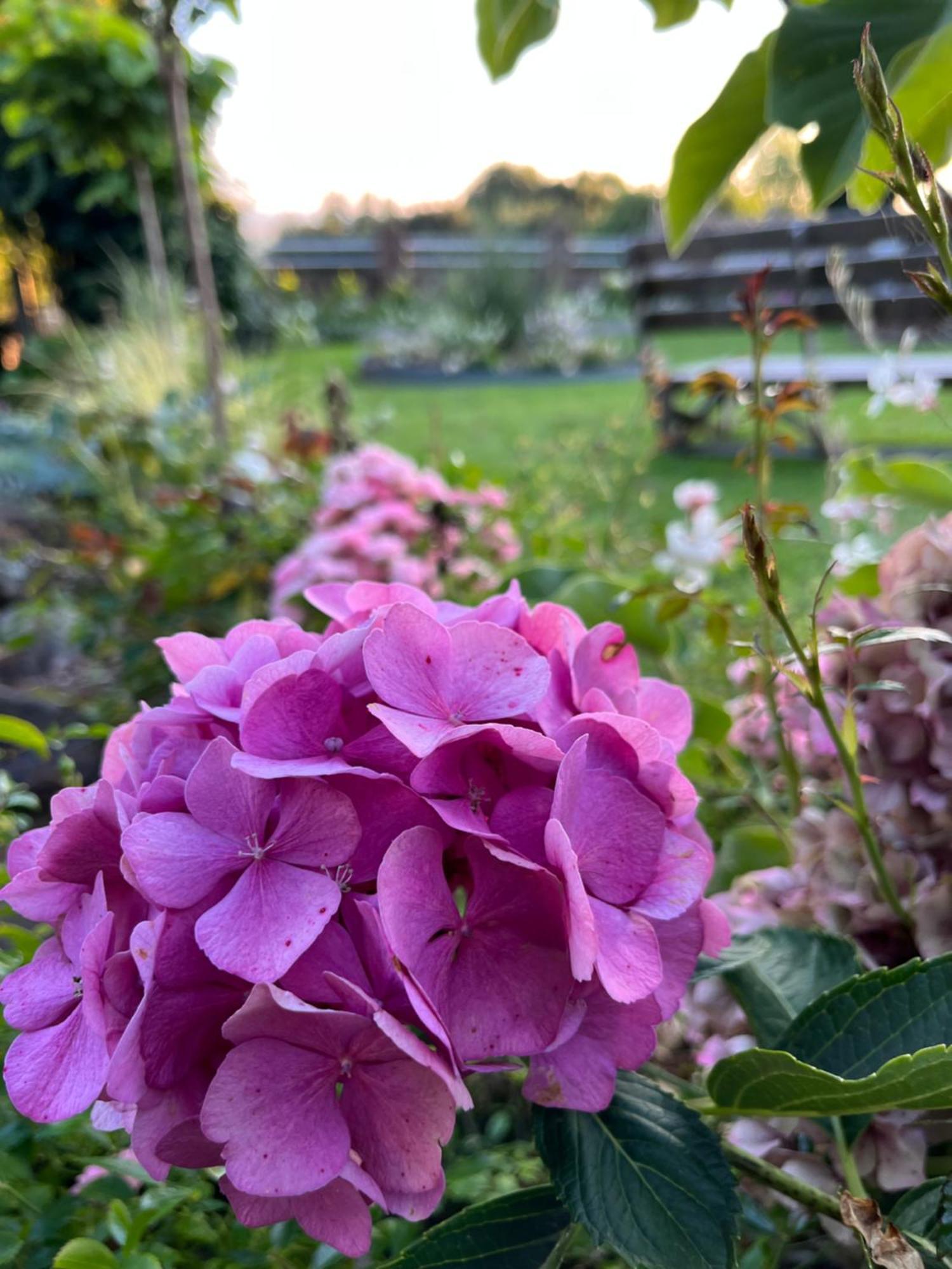 Le Petit Paradis Cassel Esterno foto
