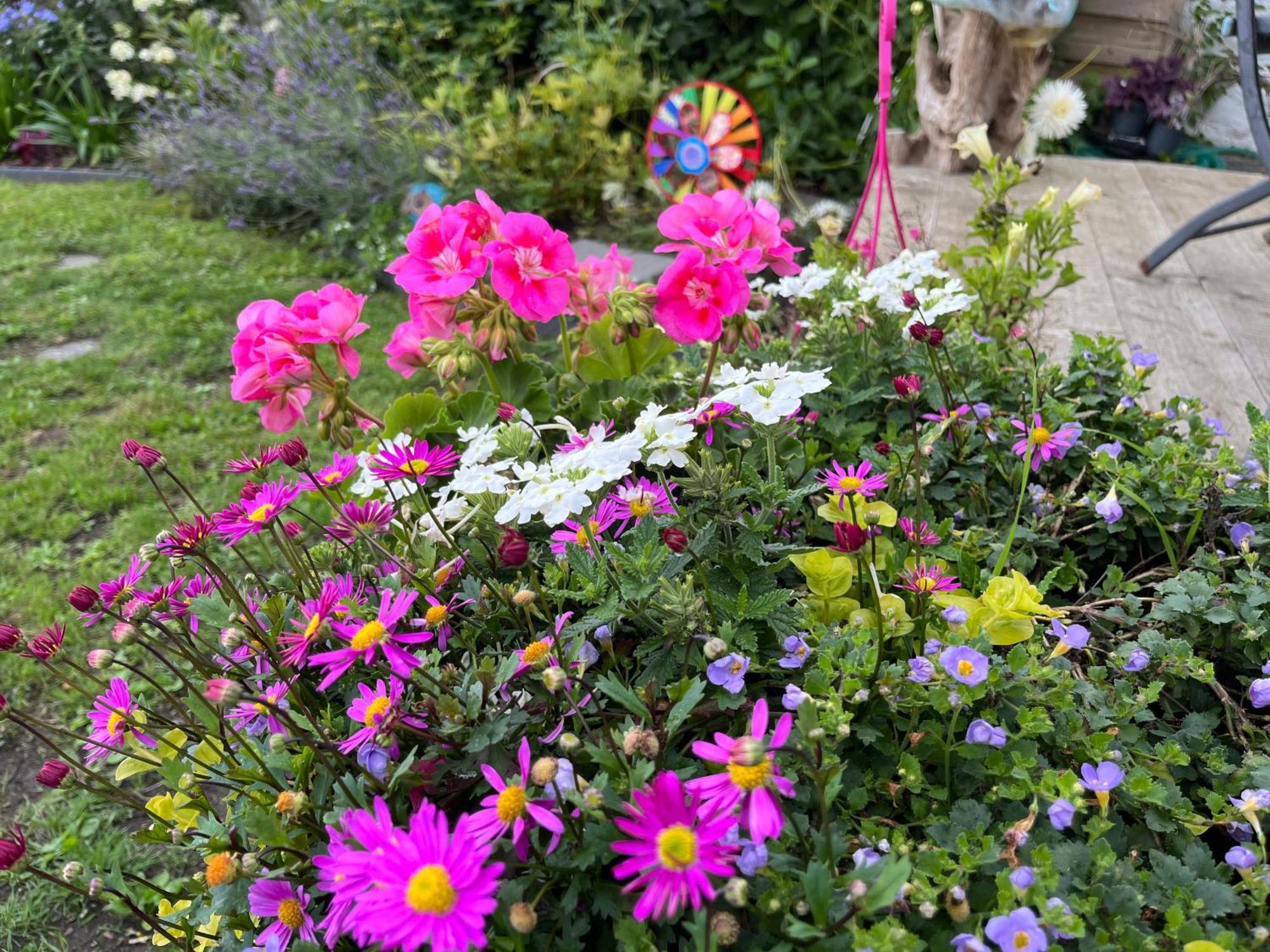 Le Petit Paradis Cassel Esterno foto