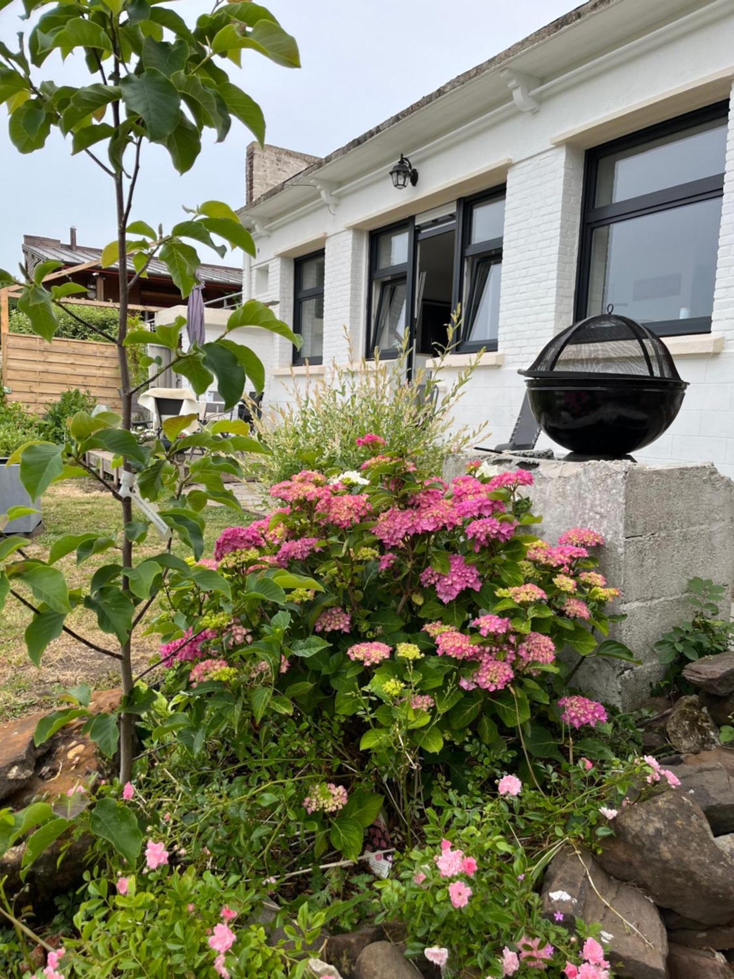 Le Petit Paradis Cassel Esterno foto