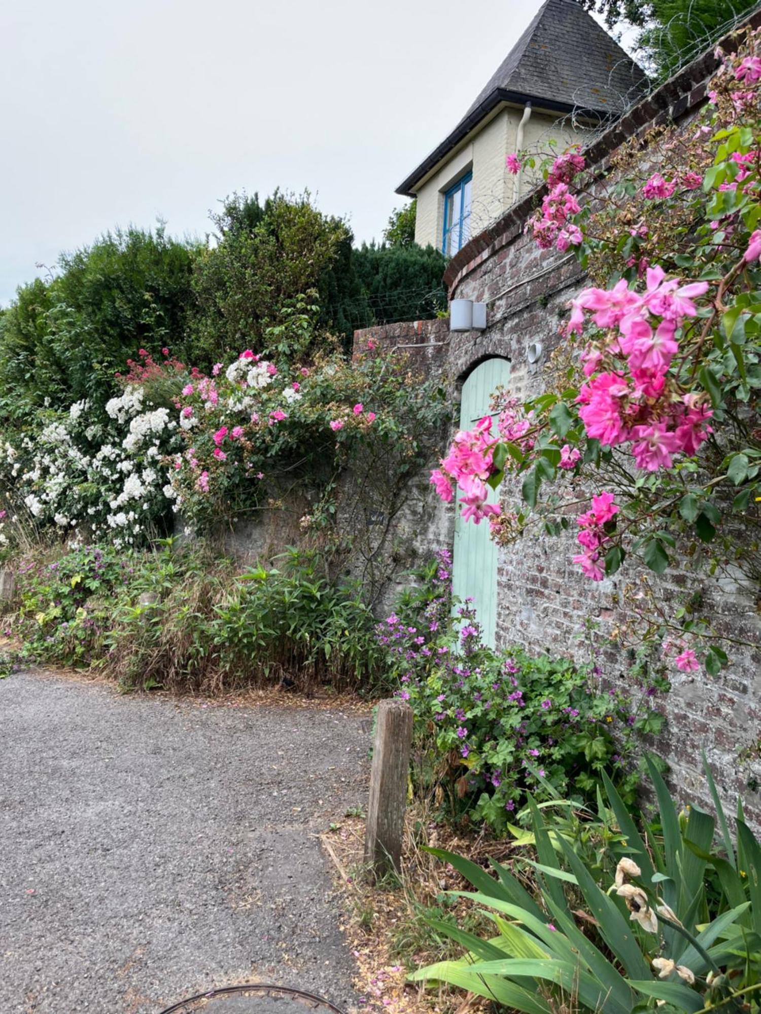 Le Petit Paradis Cassel Esterno foto