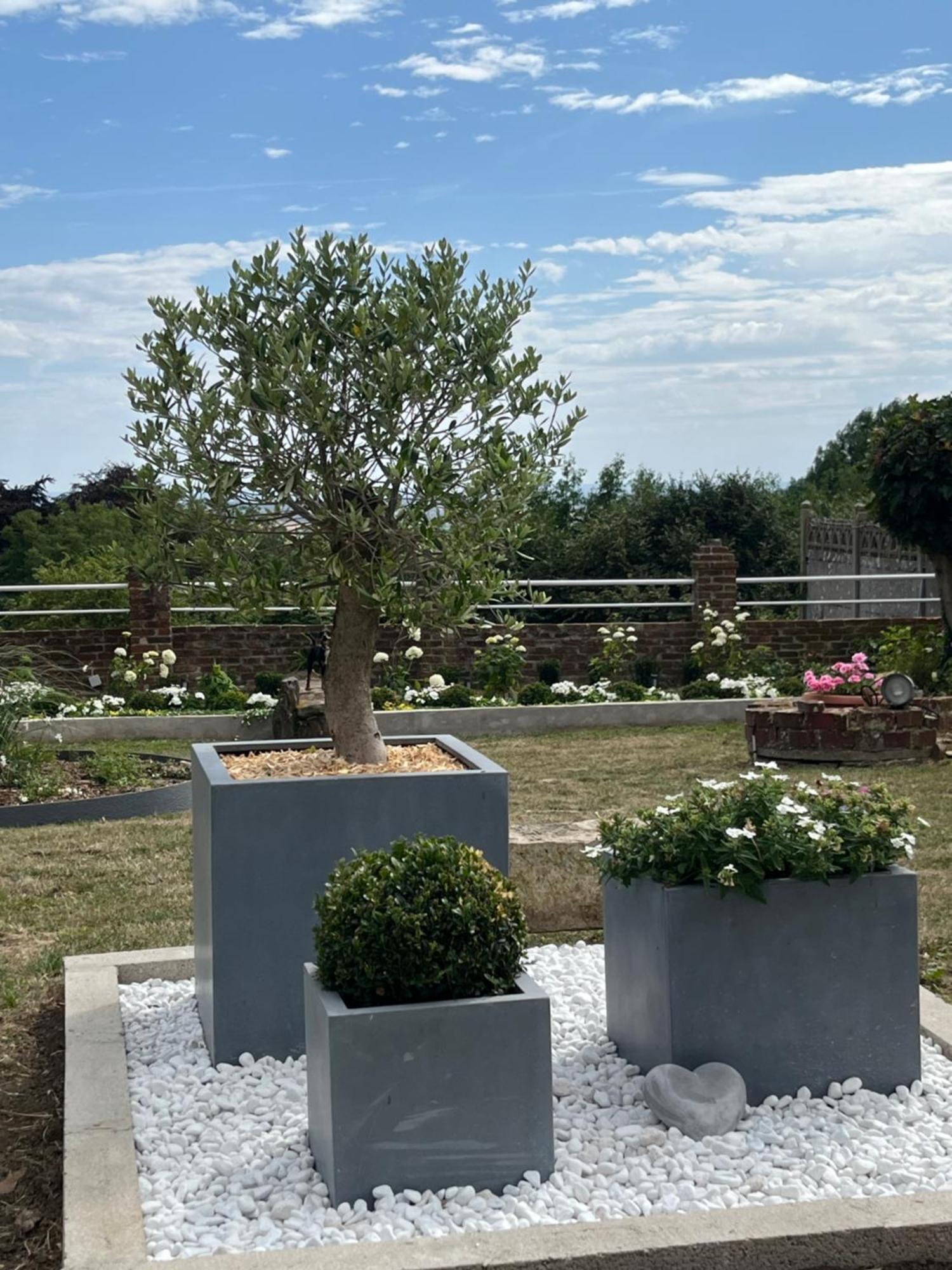 Le Petit Paradis Cassel Esterno foto