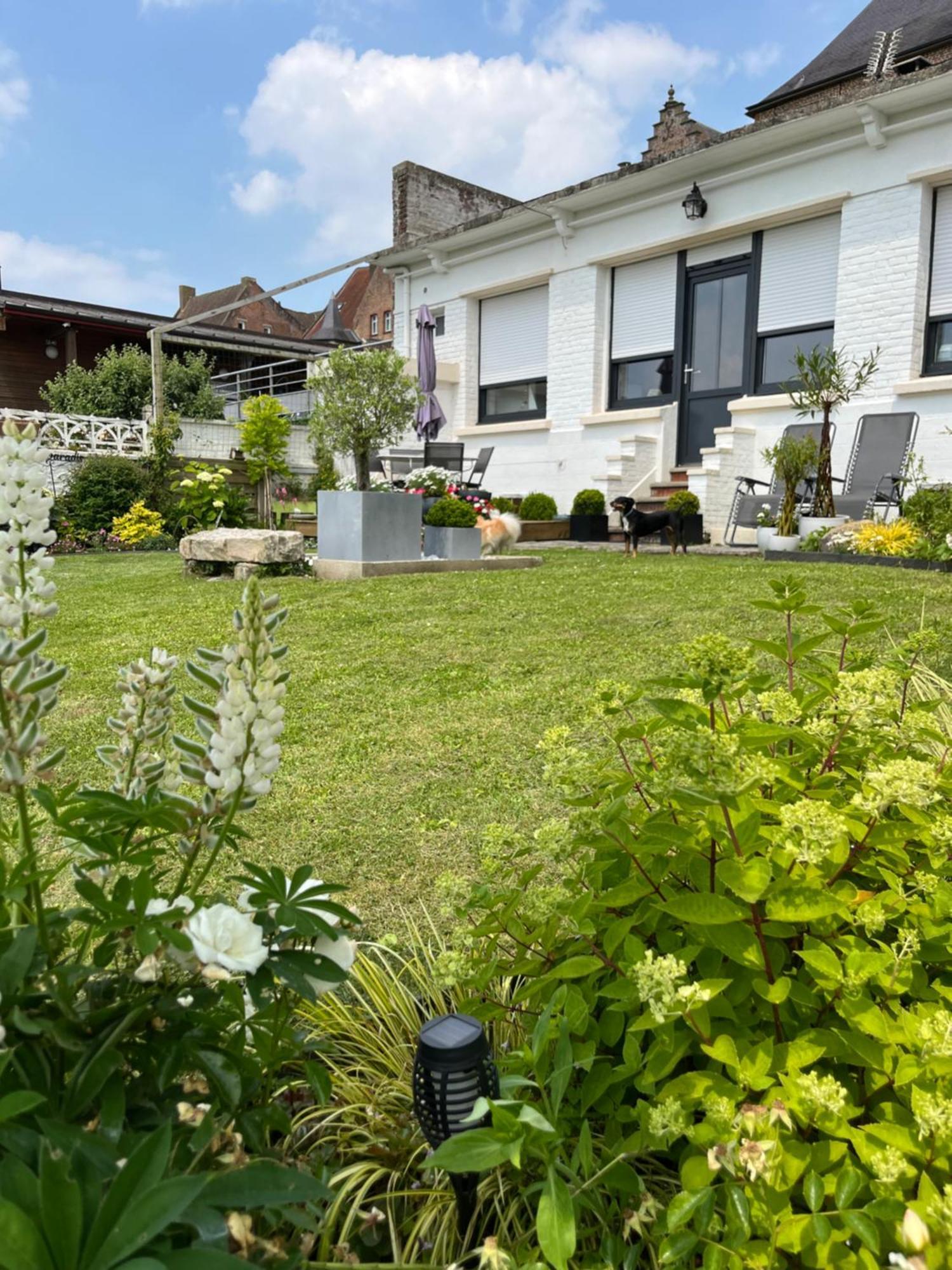 Le Petit Paradis Cassel Esterno foto